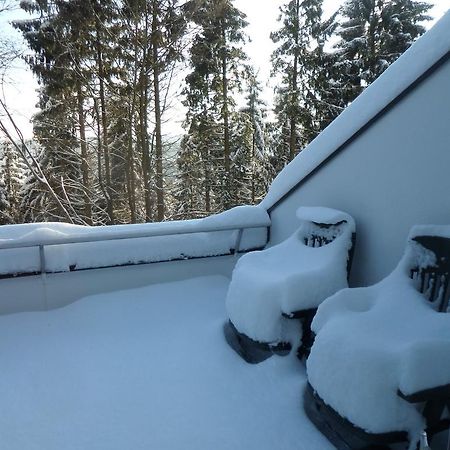 Apartament Terrassenhaus Winterberg Zewnętrze zdjęcie