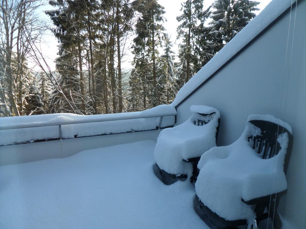 Apartament Terrassenhaus Winterberg Zewnętrze zdjęcie